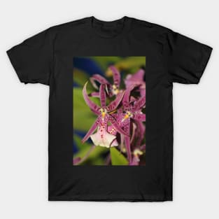 Rare Zygopetalum T-Shirt